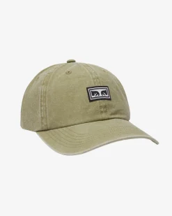 Online ICON EYES PIGMENT 6 PANEL Headwear