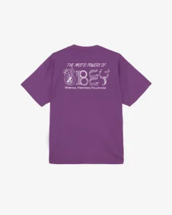 Discount MYSTIC POWERS HEAVYWEIGHT T-SHIRT Heavyweight