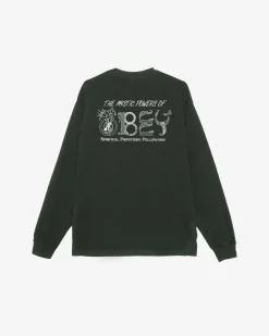 Clearance MYSTIC POWERS HEAVYWEIGHT LS T-SHIRT Heavyweight